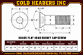 BRASS FLAT HEAD SOCKET CAP.png